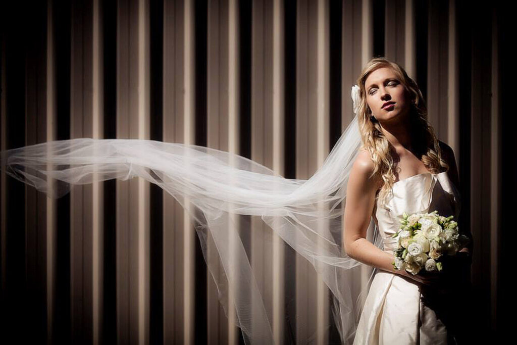 gorgeous, timeless portrait of bride captured in full sun