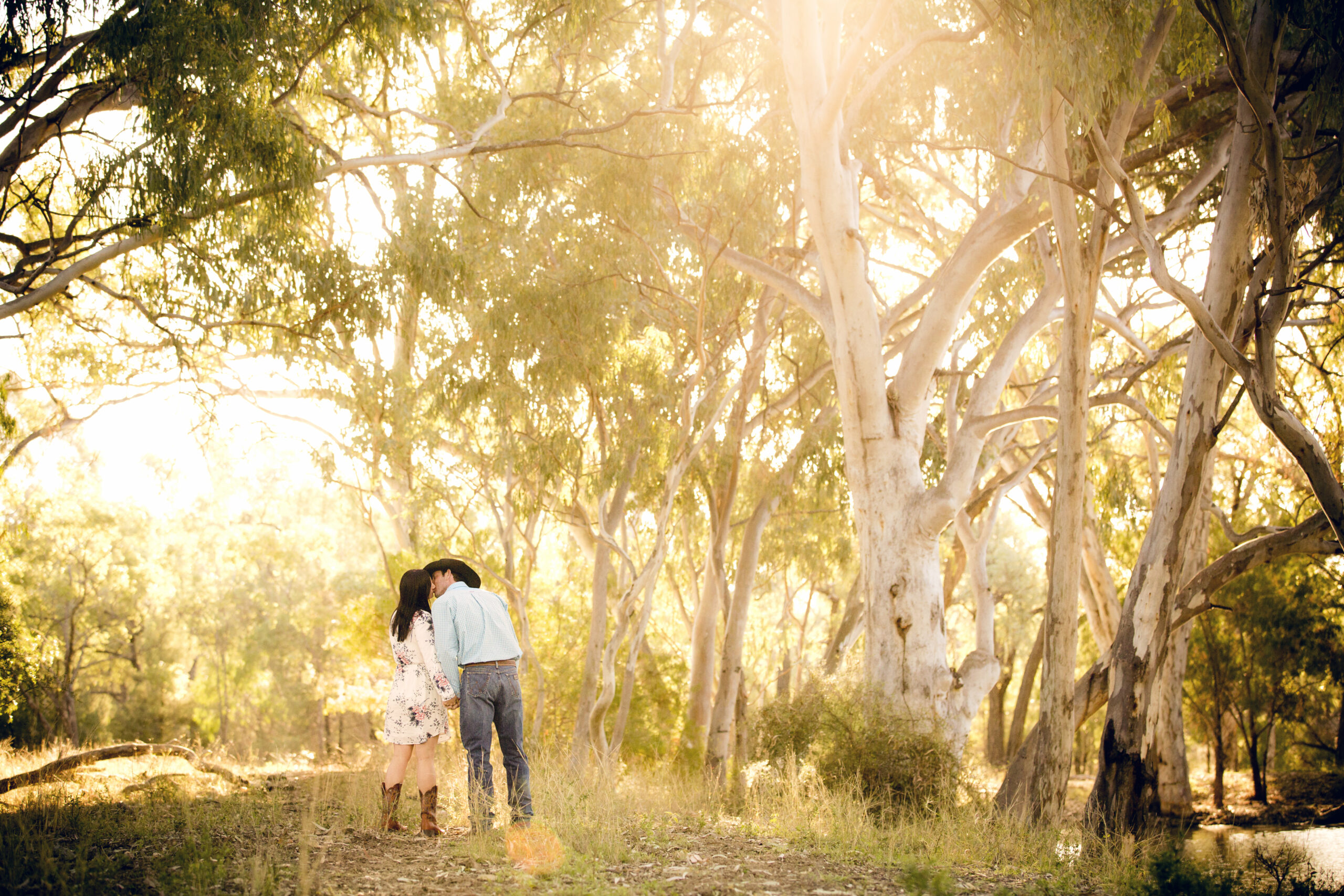 engaged couple in rural scene